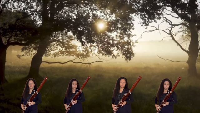 Auld Lang Syne (Bassoon Quartet) смотреть онлайн