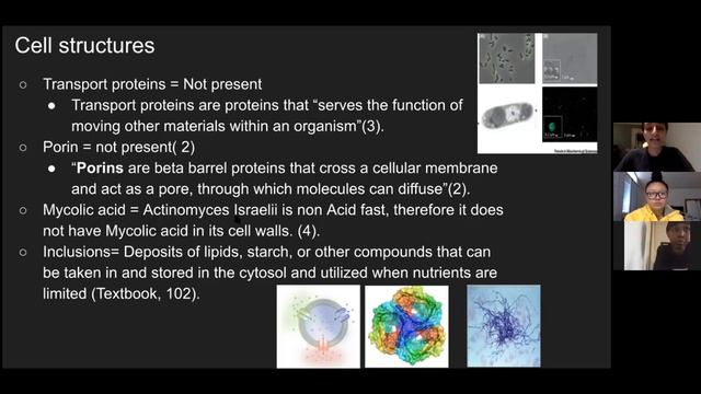 Actinomyces Israelli смотреть онлайн