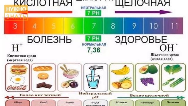 Почему нельзя есть огурцы и помидоры вместе. Овощи антагонисты. смотреть онлайн