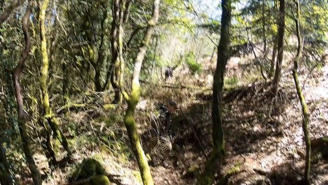 N°5 Sniper Airsoft Scope cam bolt 450fps VaVAnN смотреть онлайн