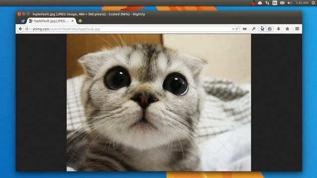Firefox Australis ROCKS смотреть онлайн