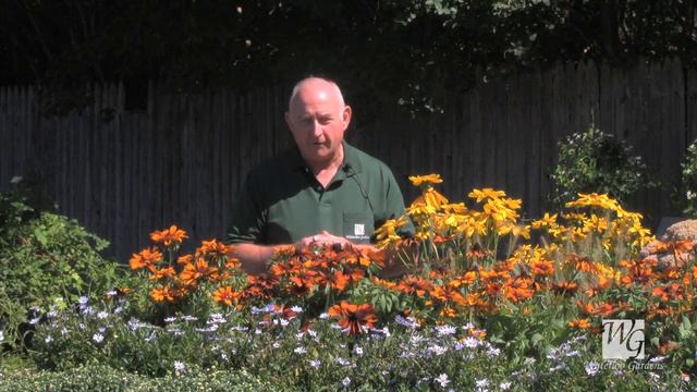 Fall Blooming Perennial Garden on September 22, 2012 смотреть онлайн