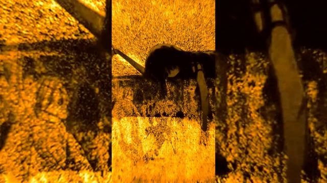 ФОНК ДЛЯ АГРЕССИВНОГО ПОЕДАНИЯ БАБУШКИНЫХ ПИРОЖКОВ | ФОНК ДЛЯ ЗАЛА | МУЗЫКА ДЛЯ СПОРТА смотреть онлайн