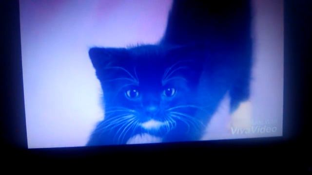 30 Октябрь 2016 г. смотреть онлайн