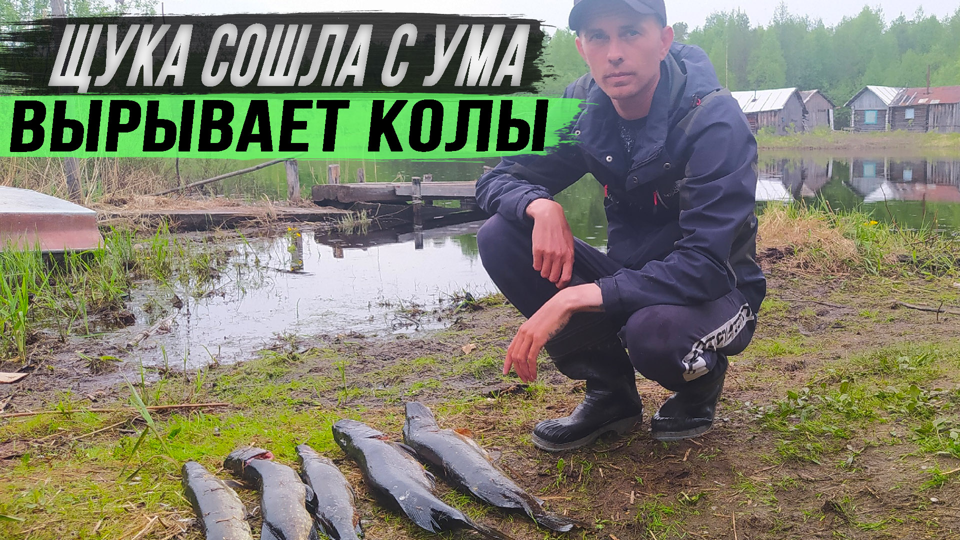 Кружки на щуку. Рыбалка на щуку. Щука гнёт крючки и рвёт поводки