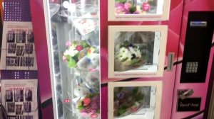 Цветомат, Флоромат "Perfomance" вендинговое оборудование