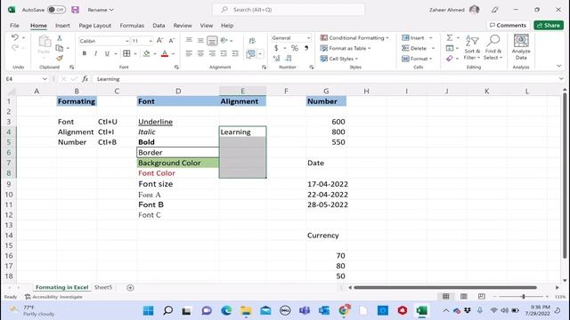 Formating in Excel | Font | Alignment | Numbers смотреть онлайн