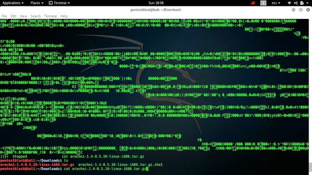 install arachni_web vulnerability scanner in kali linux 2017 смотреть онлайн