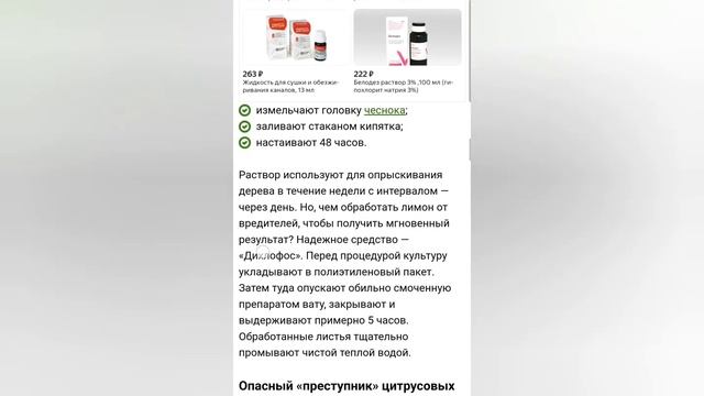 как бороться от вредителей на цитрусовых растений част 1 смотреть онлайн