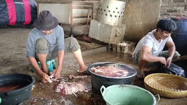 pengolahan ayam potong смотреть онлайн