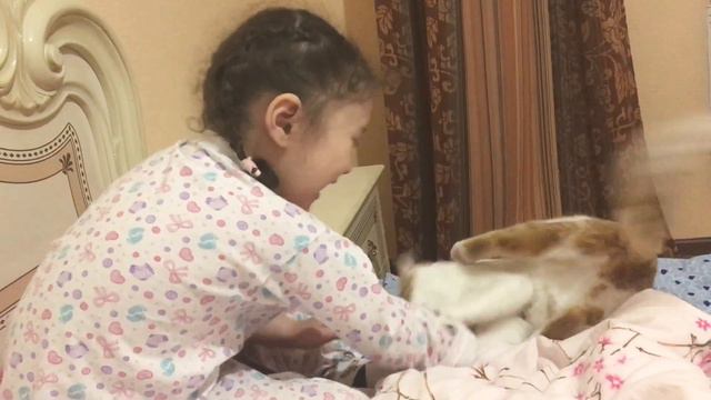Кошка Кусает девочку смотреть онлайн