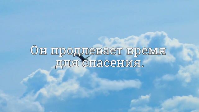 Хвала Творцу смотреть онлайн