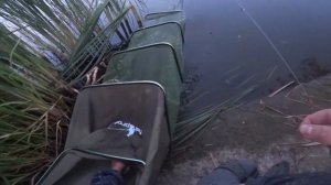 Снасть из детства. Ловля карася на закидушку (донку с резинкой).  Июль 2020