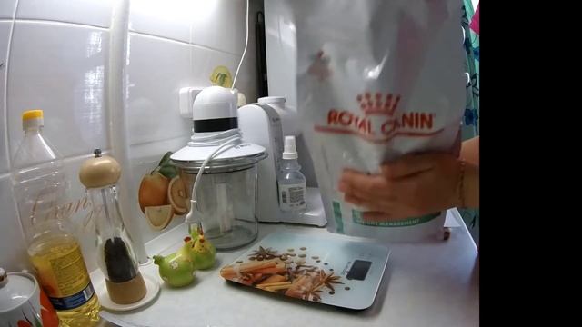У кота Карпуши ожирение, будем худеть. Эксперимент на 2 месяца и немножко новостей смотреть онлайн