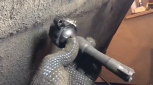 Диагностика катушек зажигания разрядником bmw e39 m52