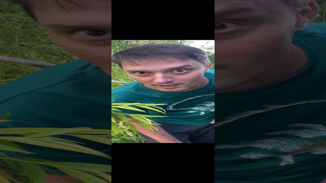 ТОП ЗАГАДОЧНЫХ ФИЛЬМОВ🪐💯🎥🔥 смотреть онлайн