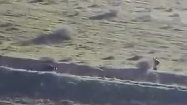 Горе-охотники смотреть онлайн