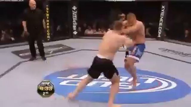 Мирко крокоп смотреть онлайн