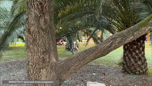 Пообщаемся об этом !!!