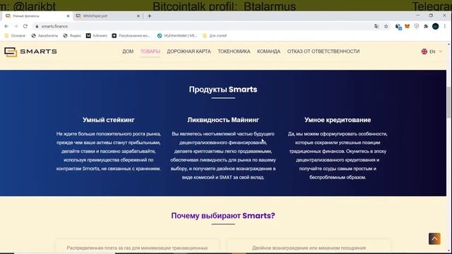 Smarts finance Новый рубеж для услуг и системы управления DeFi смотреть онлайн