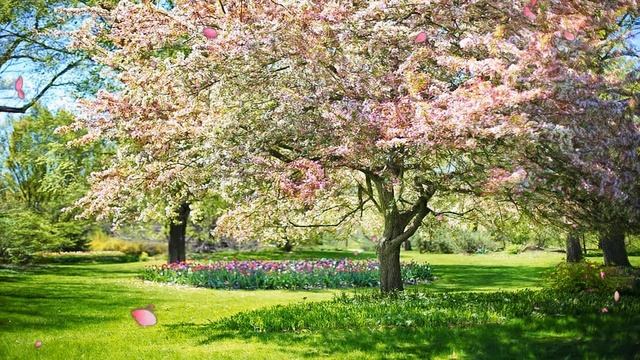 Утренняя расслабляющая музыка - Счастливая и позитивная энергия (Диана) смотреть онлайн