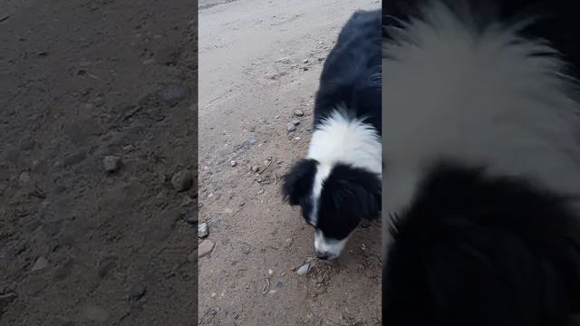 боюсь, но дай пожрать 🐩 смотреть онлайн