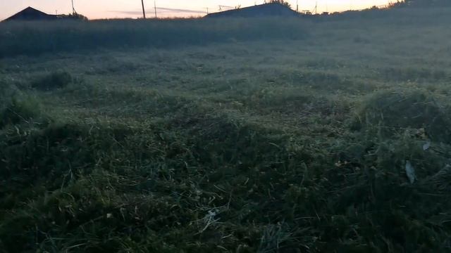 ПЕРЕЕЗД В ДЕРЕВНЮ! С КАКИМИ ПРОБЛЕМАМИ МЫ СТОЛКНУЛИСЬ??? смотреть онлайн