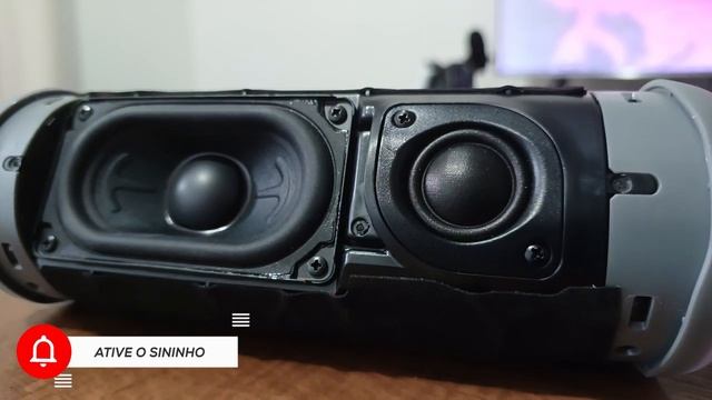 WISE TIGER P3 E JBL Flip6, Qual Você Escolheria?