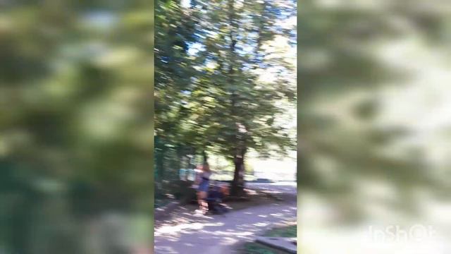 Николаевский зоопарк представляет смотреть онлайн