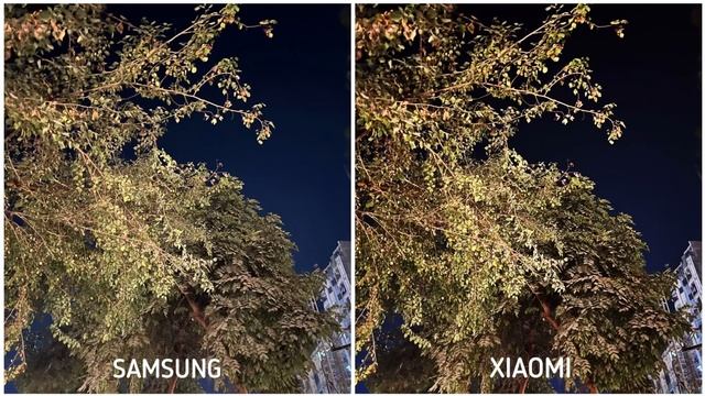 Samsung Galaxy S23 Plus Vs Xiaomi 13 Pro Night Mode Camera Test
