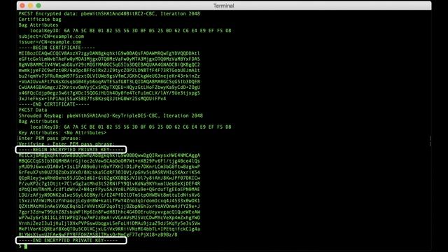 How to Export Certificates and Private Key from a PKCS#12 File with OpenSSL смотреть онлайн