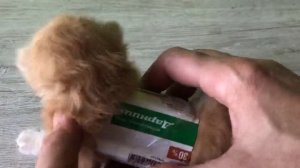 Как исправить синдром пловца или плоскую грудную клетку у животных.