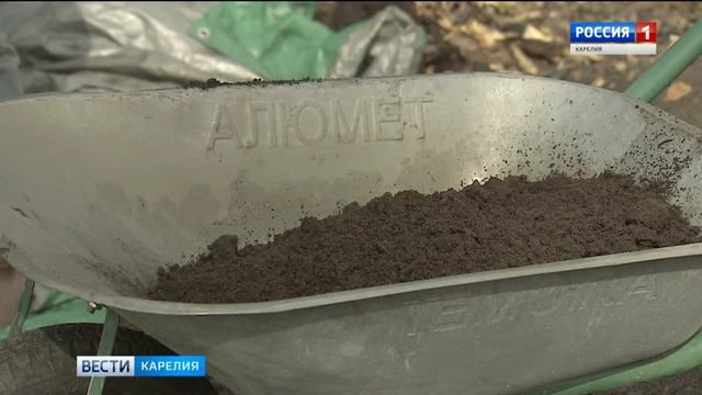 Минсельхоз распределил гранты дачным кооперативам в Карелии смотреть онлайн