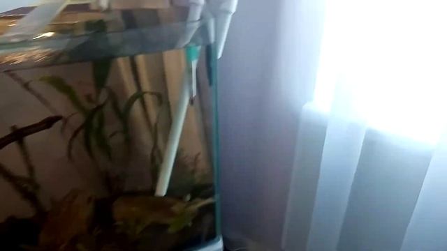 Самодельный внешний фильтр для аквариума (доработка) смотреть онлайн
