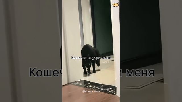 Ржака смотреть онлайн