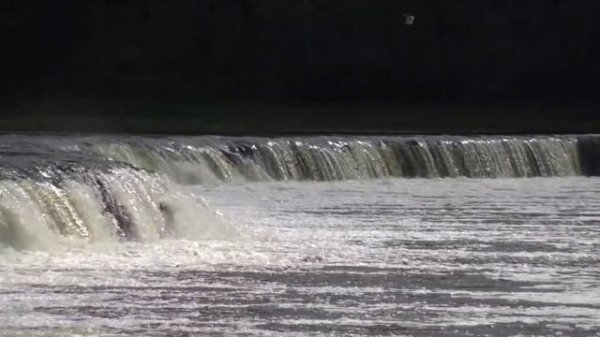 Летающая рыба \ Flying fish / Vimba Ventas Rumbā