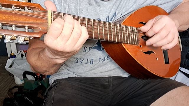 12 String Mandolin смотреть онлайн