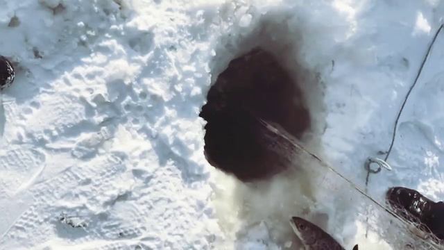 Проверка сети,не проверял 2 недели. Февраль 2023 смотреть онлайн