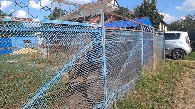 37 лет вместе. Нежданчик от детей Что подарил супруг. смотреть онлайн