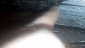 Как зашиповать гусеницу мотособаки или снегохода за копейки