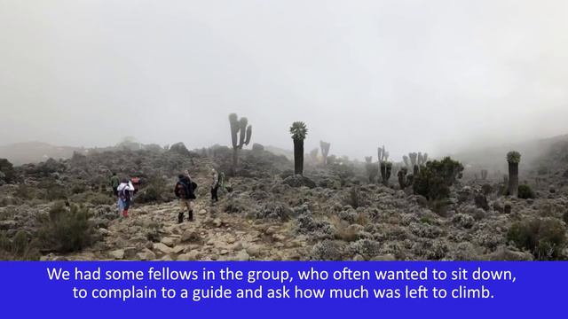 How to conquer Kilimanjaro? смотреть онлайн