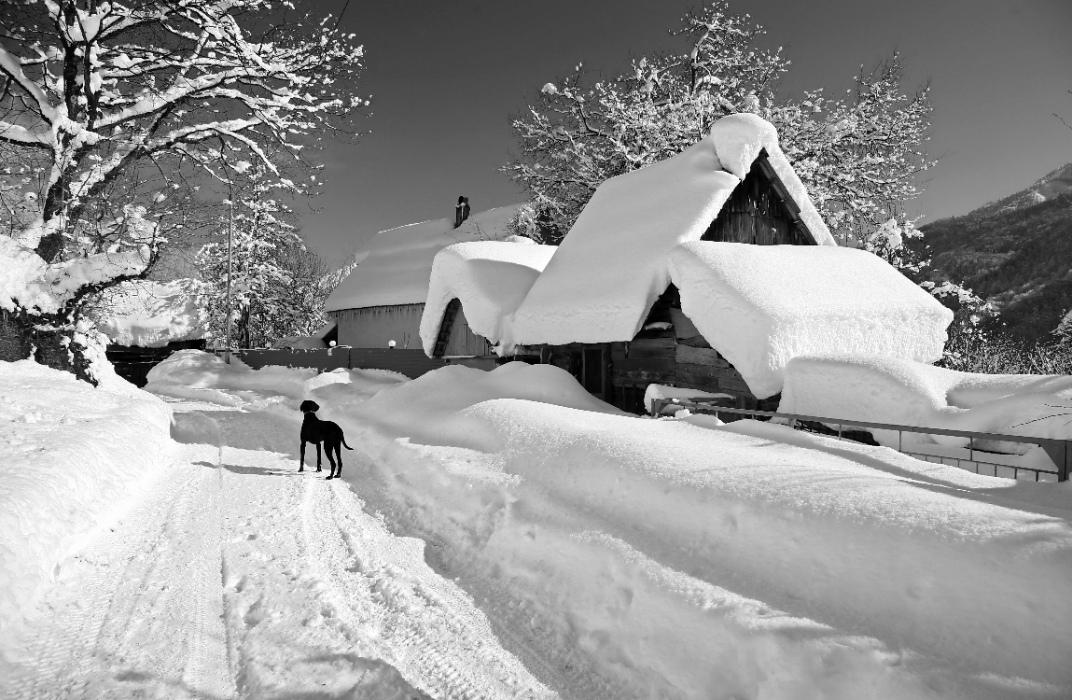 Алеша Рондо - Очарована, околдована (2006) смотреть онлайн