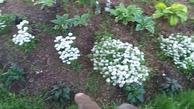 Plant haul for containers on entrance/Mailbox bed install follow-up смотреть онлайн