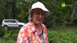 Цветник в Сибири: что цветет в начале лета