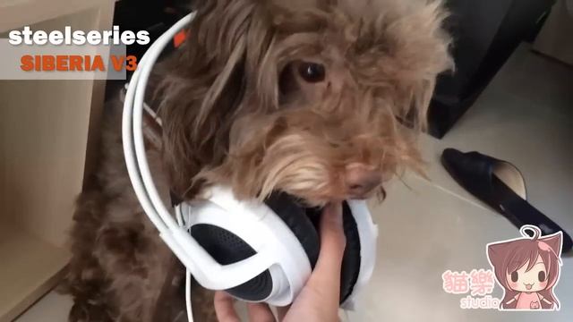 【貓樂&佑佑】steelseries siberia V3 耳機開箱箱 ：我的耳機呢!??? смотреть онлайн