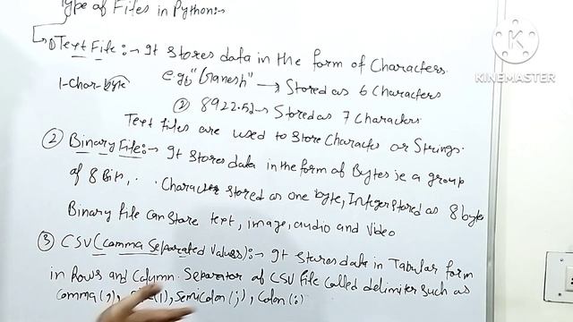 Text and Binary Files in Python | Python basics | CUET BSC COMPUTER SCIENCE | CUET Preparation Book смотреть онлайн