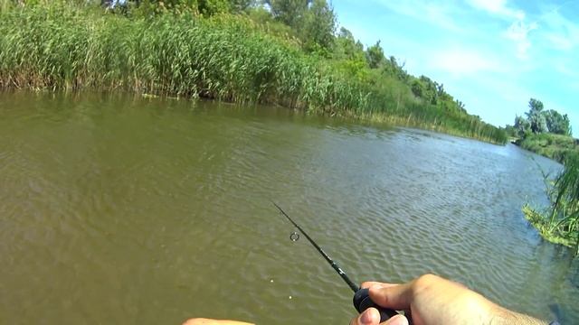 Самая УЛОВИСТАЯ снасть для речушек с метровой глубиной. Спиннинг летом смотреть онлайн