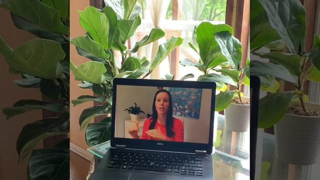 6 Easy Ways To Treat Fiddle Leaf Fig Root Rot [& Rescue Your Plant] | Fiddle Leaf Fig Plant Resourc смотреть онлайн