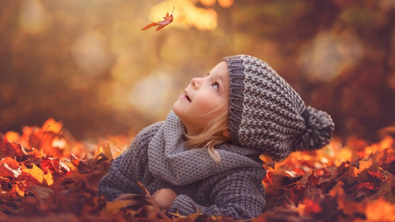 Мелодии и ритмы осени смотреть онлайн