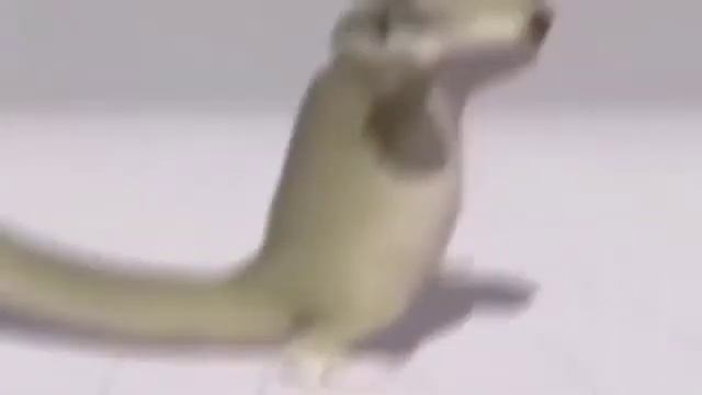 Упоротый Ящер Енокентий САМЫЙ БЕЗБАШЕННЫЙ ФЛЕК$ В МИРЕ!